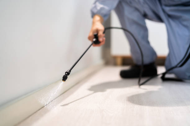 Licensed Termite Control service in Mona, UT - Show Me Pest Control